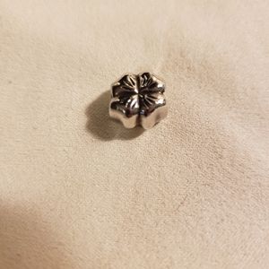 Pandora charm
